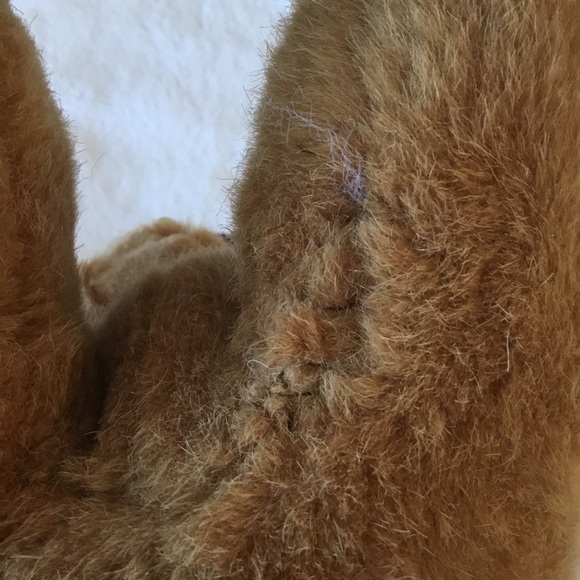 Honeybee Brown Plush Bear Toy - Picture 13 of 13